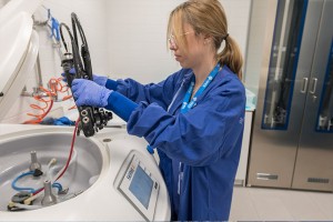 Nueva Unidad de Endoscopias de IMED valencia: innovación y comodidad para pacientes y profesionales